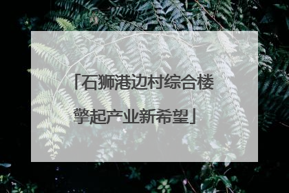 石狮港边村综合楼擎起产业新希望