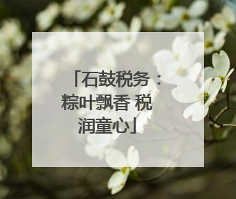 石鼓税务：粽叶飘香 税润童心