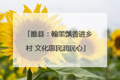 睢县：翰墨飘香进乡村 文化惠民润民心
