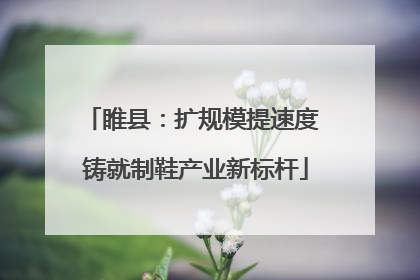 睢县：扩规模提速度 铸就制鞋产业新标杆