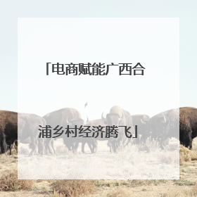 电商赋能广西合浦乡村经济腾飞