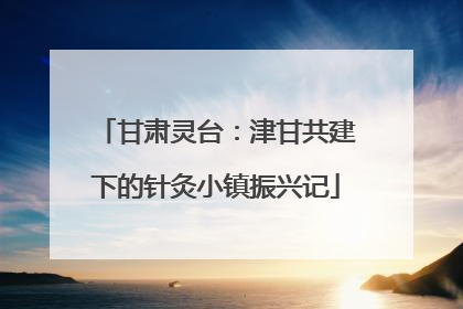 甘肃灵台：津甘共建下的针灸小镇振兴记