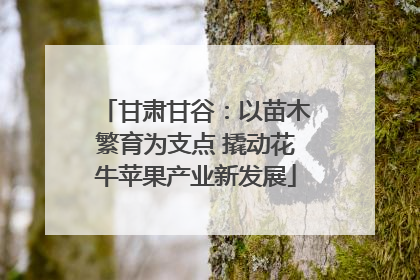 甘肃甘谷：以苗木繁育为支点 撬动花牛苹果产业新发展