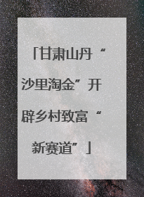 甘肃山丹“沙里淘金”开辟乡村致富“新赛道”