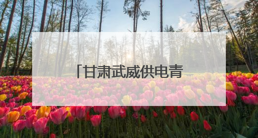 甘肃武威供电青年志愿者进校园：安全课堂学知识 红色故事润童心
