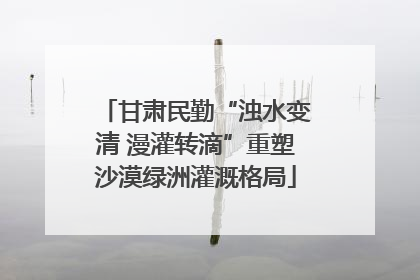 甘肃民勤“浊水变清 漫灌转滴”重塑沙漠绿洲灌溉格局