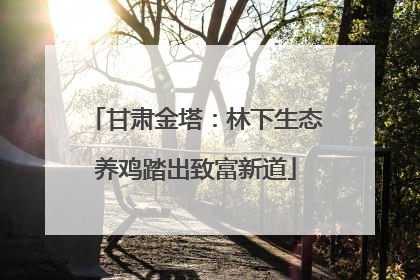 甘肃金塔：林下生态养鸡踏出致富新道