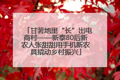 甘薯地里“长”出电商村——新泰80后新农人张甜甜用手机新农具撬动乡村振兴