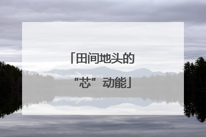 田间地头的“芯”动能