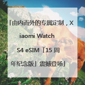 由内而外的专属定制，Xiaomi Watch S4 eSIM「15 周年纪念版」震撼登场