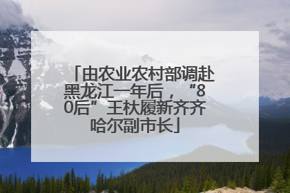 由农业农村部调赴黑龙江一年后，“80后”王杕履新齐齐哈尔副市长