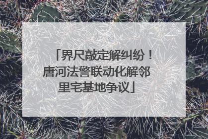界尺敲定解纠纷！唐河法警联动化解邻里宅基地争议