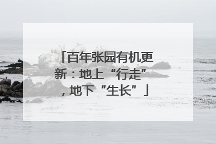 百年张园有机更新：地上“行走”，地下“生长”