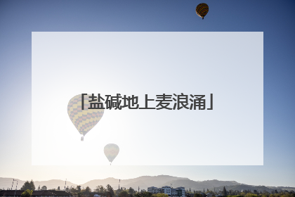盐碱地上麦浪涌