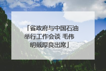 省政府与中国石油举行工作会谈 毛伟明戴厚良出席