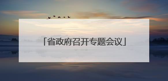 省政府召开专题会议