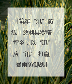 筑牢“汛”防线｜慈利县罗塔坪乡：以“迅”应“汛” 打赢暴雨防御战