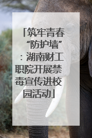 筑牢青春“防护墙”：湖南财工职院开展禁毒宣传进校园活动