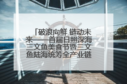 破浪向鲜 链动未来——首届日照深海三文鱼美食节暨三文鱼陆海统筹全产业链发展会议嘉宾访谈