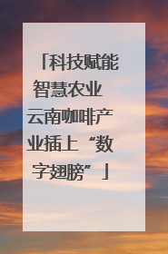 科技赋能智慧农业 云南咖啡产业插上“数字翅膀”