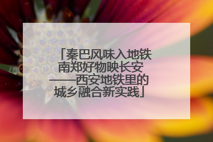 秦巴风味入地铁 南郑好物映长安——西安地铁里的城乡融合新实践