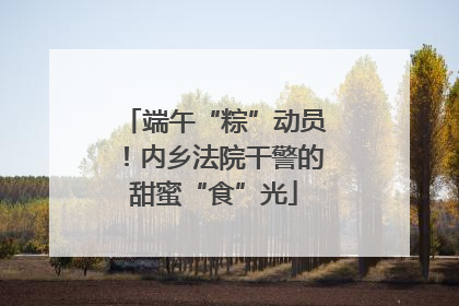 端午“粽”动员！内乡法院干警的甜蜜“食”光