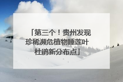 第三个！贵州发现珍稀濒危植物睡莲叶杜鹃新分布点