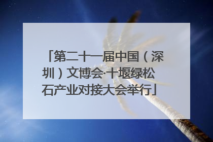 第二十一届中国（深圳）文博会·十堰绿松石产业对接大会举行