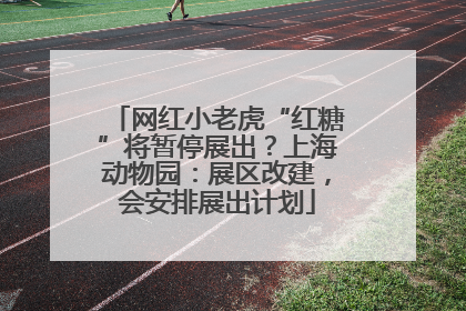 网红小老虎“红糖”将暂停展出？上海动物园：展区改建，会安排展出计划