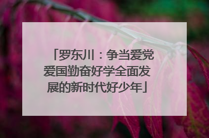 罗东川：争当爱党爱国勤奋好学全面发展的新时代好少年
