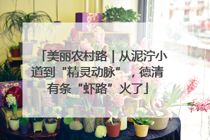 美丽农村路｜从泥泞小道到“精灵动脉”，德清有条“虾路”火了
