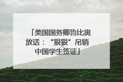美国国务卿鲁比奥放话：“狠狠”吊销中国学生签证