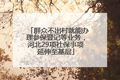 群众不出村就能办理参保登记等业务，河北29项社保事项延伸至基层