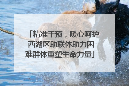 精准干预，暖心呵护 西湖区助联体助力困难群体重塑生命力量