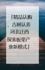 精品认购、古树认养 河北迁西探索板栗产业新模式