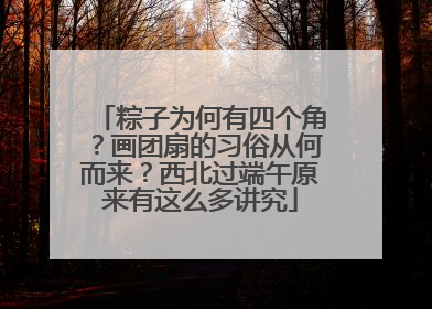 粽子为何有四个角？画团扇的习俗从何而来？西北过端午原来有这么多讲究