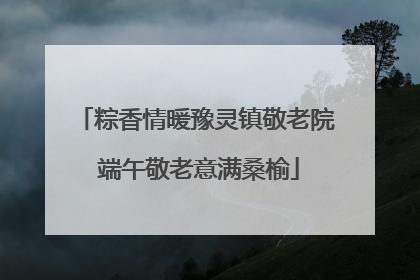粽香情暖豫灵镇敬老院 端午敬老意满桑榆