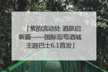 紫韵流动处 酒旅启新篇——国际葡萄酒城主题巴士6.1首发