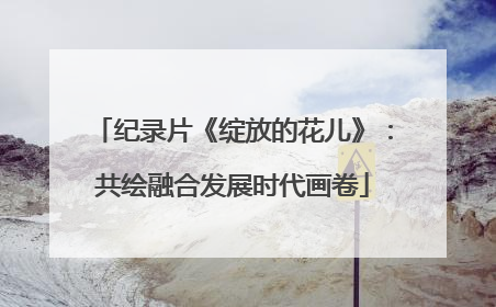 纪录片《绽放的花儿》：共绘融合发展时代画卷