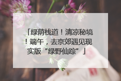 绿荫栈道！清凉秘境！端午，去京郊遇见现实版“绿野仙踪”