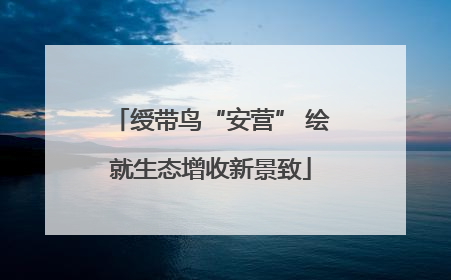绶带鸟“安营” 绘就生态增收新景致
