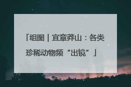 组图｜宜章莽山：各类珍稀动物频“出镜”