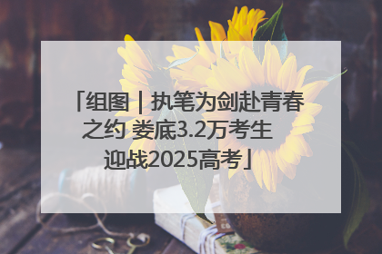 组图｜执笔为剑赴青春之约 娄底3.2万考生迎战2025高考