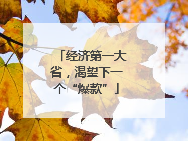 经济第一大省，渴望下一个“爆款”