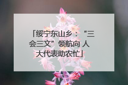 绥宁东山乡：“三会三文”领航向 人大代表助农忙