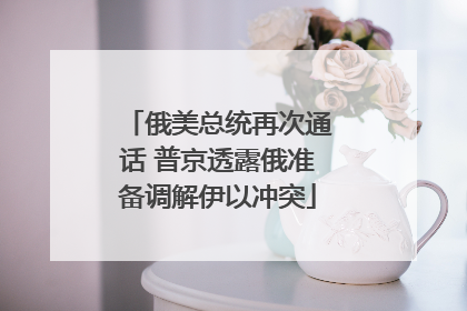 俄美总统再次通话 普京透露俄准备调解伊以冲突