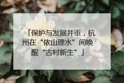 保护与发展并重，杭州在“依山理水”间唤醒“古村新生”