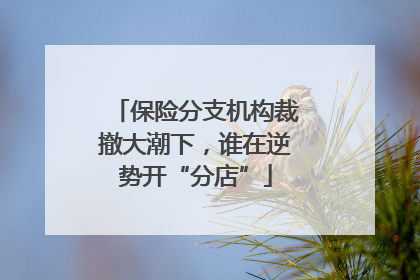保险分支机构裁撤大潮下，谁在逆势开“分店”