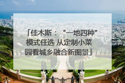 佳木斯：“一地四种” 模式任选 从定制小菜园看城乡融合新图景