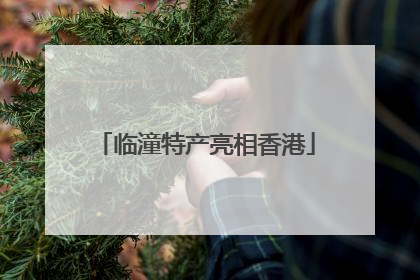 临潼特产亮相香港